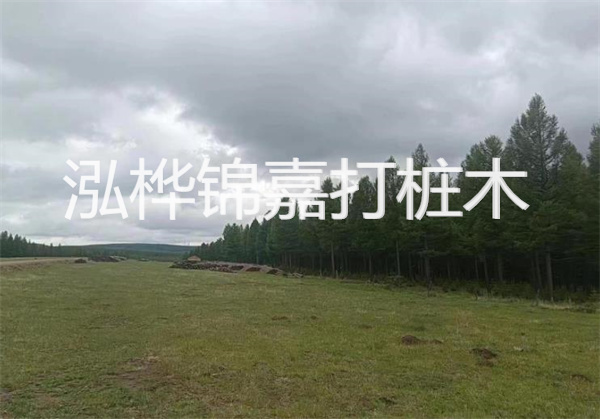 软土地基加固措施，保障建筑稳固