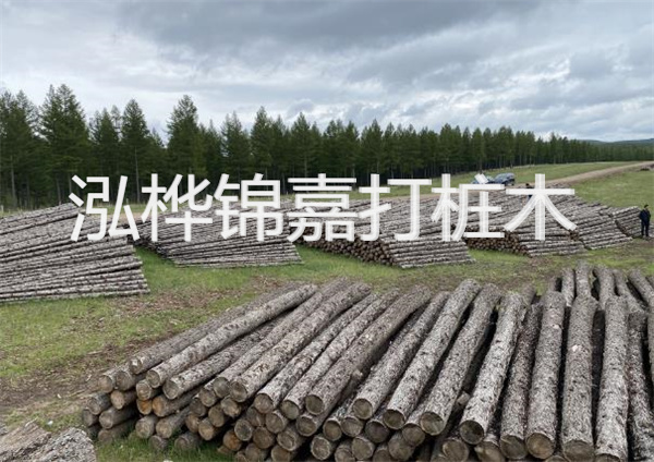 浙江河道松木桩施工-打造安全稳固的水域基础设施
