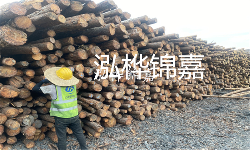高效安全的圆松木桩施工方案
