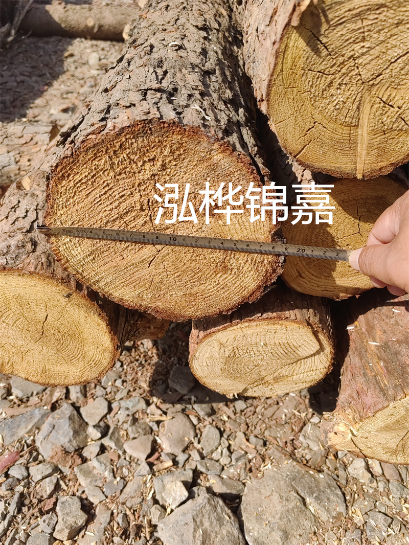 轻松计算圆木材积，下载并安装圆木材材积表计算器