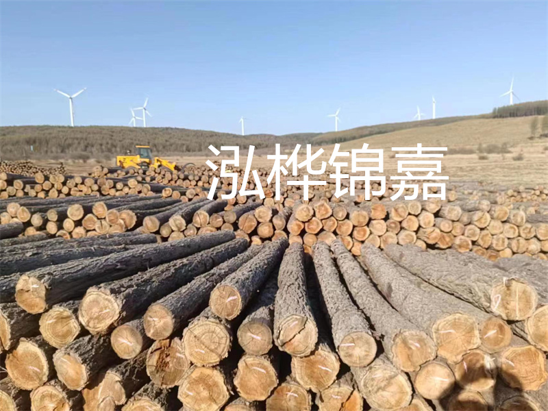 温州松木桩施工厂家——为您打造坚固稳定的建筑基础！