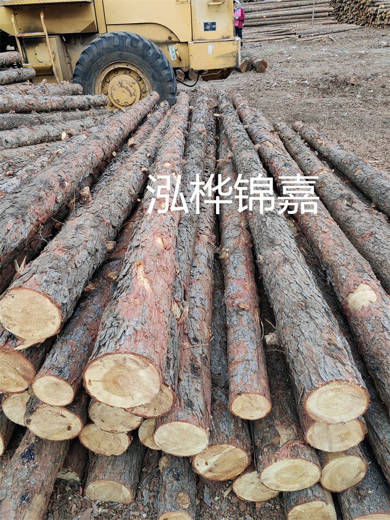 长沙松木桩施工单位-打造稳固的基础